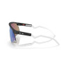 Lunettes de soleil OAKLEY BXTR Verres Prizm