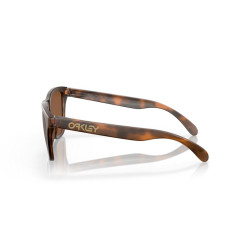 Lunettes de soleil OAKLEY Frogskins XL