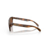 Lunettes de soleil OAKLEY Frogskins XL