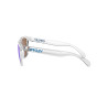 Lunettes de soleil OAKLEY Frogskins XL