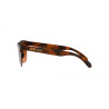 Lunettes de soleil OAKLEY Frogskins XL